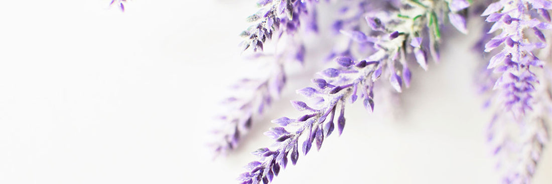 Can Aromatherapy Help You Sleep?