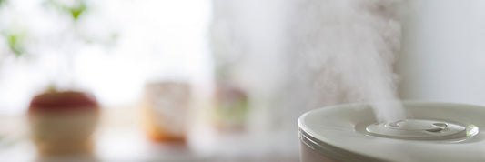 4 Ways to Combat Dry Winter Air