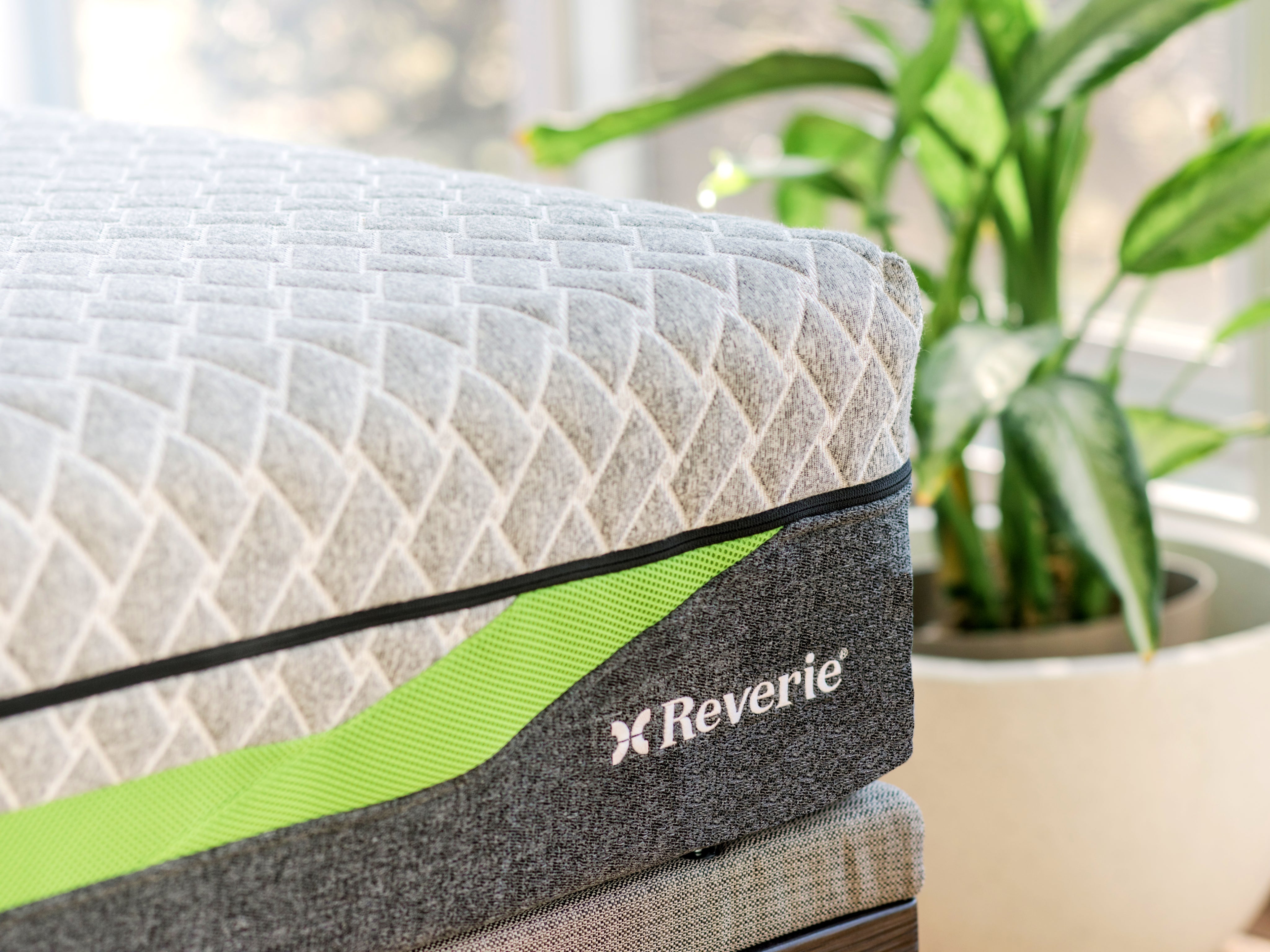 Collections – Reverie Sleep