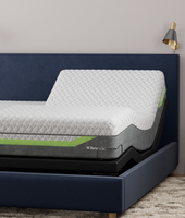 Reverie adjustable bed with a mattress on a wooden floor in a blue bed frame