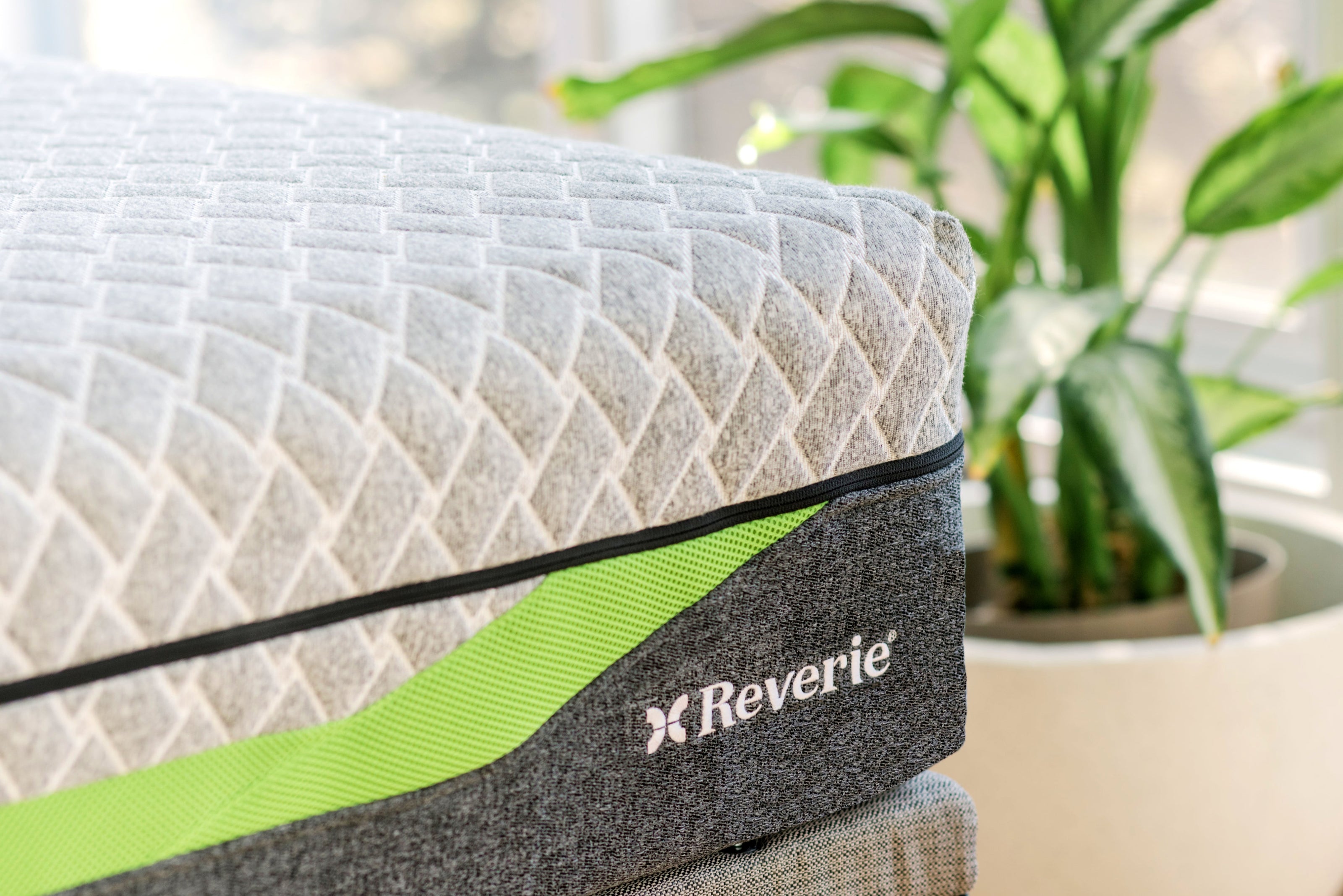 Reverie mattress with green stripe and black zipper in a room with a plant